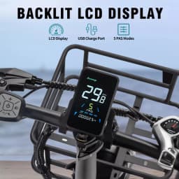 Ridstar MN26 Electric Bike Motor 48V 20AH Battery 26*4.0Inch Fat Tire Off-Road Adult Mountain Snowfield Electric Bicycle