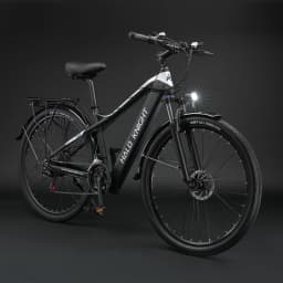 HALO KNIGHT H02 Adult Electric Bike 48V 750W 16AH Electric Bicycle 50KM/H Fast 60KM E Bike Cheap 29'' Ebike Powerful Motorbike