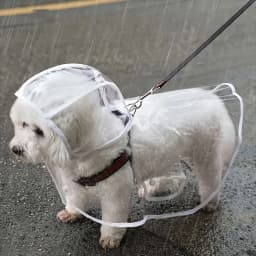 Transparent Waterproof Dog Raincoat for Small and Medium-Sized Dogs, Teddy and Bichon Frise Dog for Rainy Days Walking
