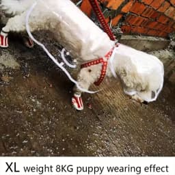 Transparent Waterproof Dog Raincoat for Small and Medium-Sized Dogs, Teddy and Bichon Frise Dog for Rainy Days Walking