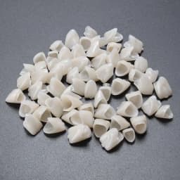 60pcs Resin Teeth Dentistry Dental Temporary Crown Material for Anterior & Molar Teeth Protecting Oral Care Whitening Stable