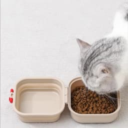 Outdoor Collapsible Double-layer Pet Bowl New Arrival Portable Dog Cat Feeding Water Bowl Travel Foldable Food Water Container