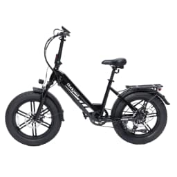 Bodywel F20 Pro Electric Bike for Adults 48V20AH Battery 20 Inch Tires Snowmobile Style E-Bicycle