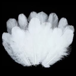 800/100Pcs Colorful Feathers 3-5-inch Craft Feathers Wedding Family Decorations, Dream Catcher Supplies, Natural Feathers 2029
