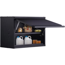 SucceBuy 120lbs per Shelf Metal Storage Cabinet 20'' Tall Wall-Mounted Steel Garage Cabinet with Adjustable Shelf for Office
