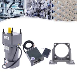 250W 250W AC High Torque Motor Electric Single-Phase Motor Reversible Motor with Variable Speed Adjustable Controller Governor