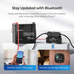 Renogy 12V 100Ah LiFePO4 Battery with Bluetooth and Self-Heating Function, 12V Lithium Leisure Battery over 5000 Deep Cycles