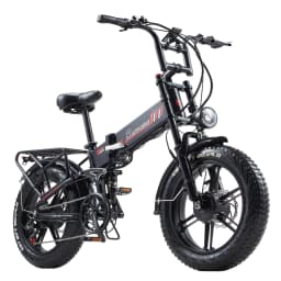 RANDRIDE YX20M-2 Folding Electric Bike 2000W 20Ah Two-Engine Electric Bike with Hydraulic Brakes and Double Fork