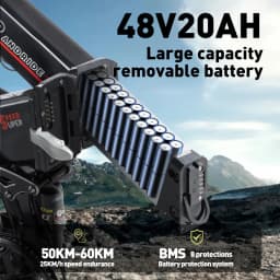 RANDRIDE YX20M-2 Folding Electric Bike 2000W 20Ah Two-Engine Electric Bike with Hydraulic Brakes and Double Fork
