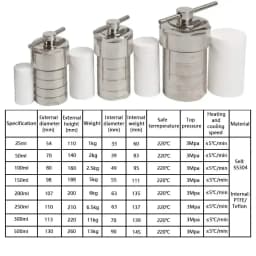 25ml PTFE Lined Hydrothermal Synthesis Autoclave Reactor 3Mpa 304 Steel High Pressure Hydrothermal Digestion Tank PTFE