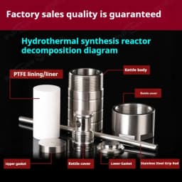 25ml PTFE Lined Hydrothermal Synthesis Autoclave Reactor 3Mpa 304 Steel High Pressure Hydrothermal Digestion Tank PTFE