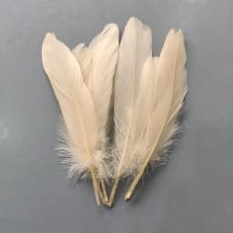 20-1000pcs Natural Big Goose Feather Craft Jewelry Carnival Party 15-20CM Colorful Goose Feather for Home Handicraft Decor Plume