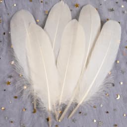20-1000pcs Natural Big Goose Feather Craft Jewelry Carnival Party 15-20CM Colorful Goose Feather for Home Handicraft Decor Plume