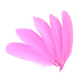 20-1000pcs Natural Big Goose Feather Craft Jewelry Carnival Party 15-20CM Colorful Goose Feather for Home Handicraft Decor Plume