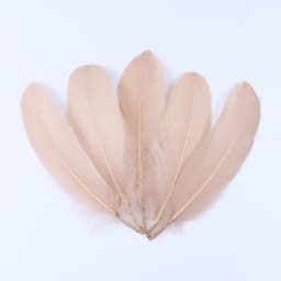 20-1000pcs Natural Big Goose Feather Craft Jewelry Carnival Party 15-20CM Colorful Goose Feather for Home Handicraft Decor Plume