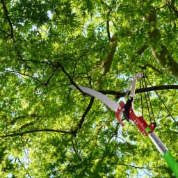Tree Pole Saw Long Pole Saw Adjustable Length Pole Pruner High Reach Pole with Carry Bag, Manual Pole Saw