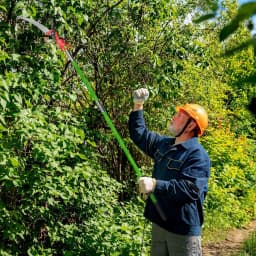 Tree Pole Saw Long Pole Saw Adjustable Length Pole Pruner High Reach Pole with Carry Bag, Manual Pole Saw