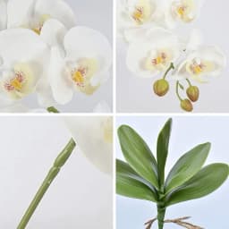 2PCS Artificial Flowers Orchid Set Real Touch 69cm Tall 9 Heads Fake Phalaenopsis Flower Vase Fillers Home Wedding Indoor Decor