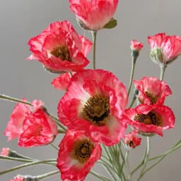 Wedding Party Decoration Poppy Artificial Flowers 65cm Long Stem Fake Flowers For Home Decors DIY Day of Dead Flower Arrangement