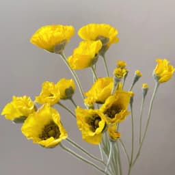 Wedding Party Decoration Poppy Artificial Flowers 65cm Long Stem Fake Flowers For Home Decors DIY Day of Dead Flower Arrangement