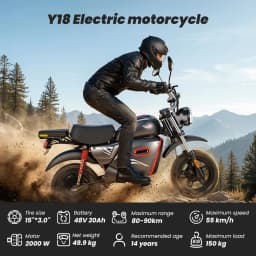 Y18 2000W Electric Moto Scooter 48V 20Ah Battery 55km/h Max Speed 80-90km Range With Storage Space 15 inch Vacuum-Inflated Tires