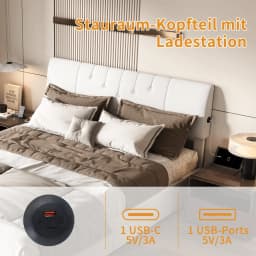 Anajqaqia Upholstered Storage Bed with USB Charging Port, Size: 140x190cm/140x200cm/160x200cm, Modern and Simple Style