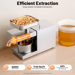 600W 220V Electric Oil Press Machine Cold Hot Oil Extractor 304 Stainless Steel for Peanut Sunflower Olive Seeds