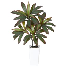 Artificial Dracaena Tree with White Tall Planter, Tall Artificial Plants with Real Touch Leaves and Multi Tonal Trunks
