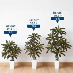 Artificial Dracaena Tree with White Tall Planter, Tall Artificial Plants with Real Touch Leaves and Multi Tonal Trunks