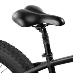 DYU King-750  Electric Bike  48V20Ah Battery 26*4 inch Fat Tire All-terrain Electric bicycle