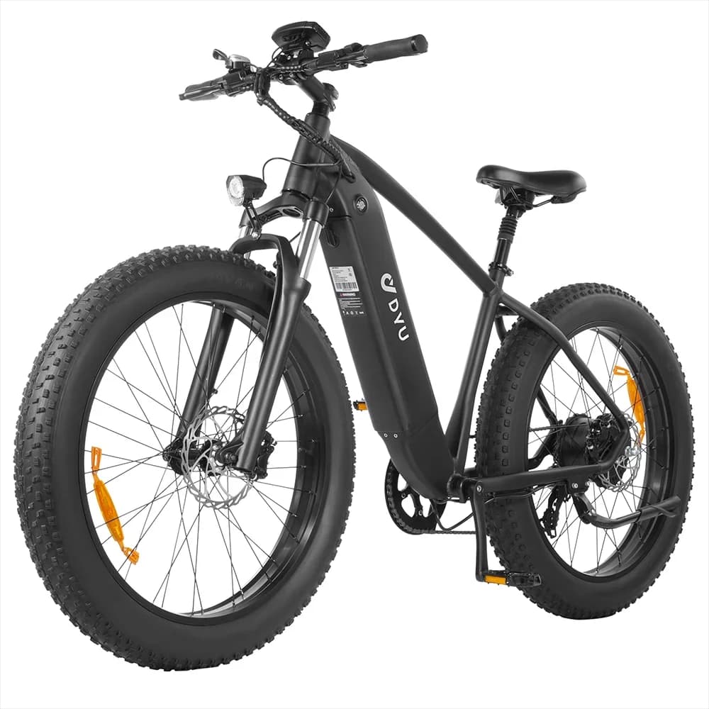 DYU King-750  Electric Bike  48V20Ah Battery 26*4 inch Fat Tire All-terrain Electric bicycle