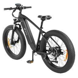 DYU King-750  Electric Bike  48V20Ah Battery 26*4 inch Fat Tire All-terrain Electric bicycle