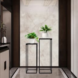 2-Piece Plant Stand Set Metal Flower Pot Holder Rustproof Sturdy Display Shelf 2 Sizes 70cm 60cm 11lbs 8.8lbs for Home Garden