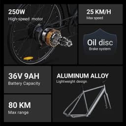 DYU Stroll 1 Electric Bike 250W Motor Electric Bicycle 36V 9Ah Battery 700*38C Tire E-bike 25km/h Max Speed 67KM Adult E-Bicycle