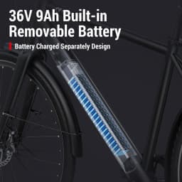 DYU Stroll 1 Electric Bike 250W Motor Electric Bicycle 36V 9Ah Battery 700*38C Tire E-bike 25km/h Max Speed 67KM Adult E-Bicycle