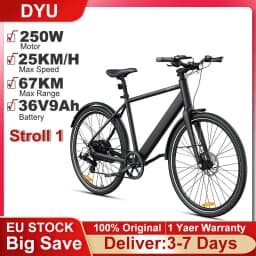 DYU Stroll 1 Electric Bike 250W Motor Electric Bicycle 36V 9Ah Battery 700*38C Tire E-bike 25km/h Max Speed 67KM Adult E-Bicycle