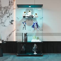 Anajqaqia Glass Display Case, 2 Doors, 4 Shelves, with LED Lights, 80.49 X 36.49 X 163.9 cm, Black