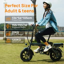 URLIFE F1L Adult Electric Bike 250W Motor 14 Inch Foldable City Commuter Bike with Rear Rack Unisex