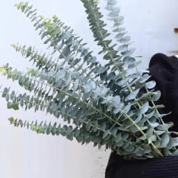 12/10PCS Eucalyptus Leaves Bunch Branch Artificial Plastic Plants Leaves Green Stems Wedding Faux Fake Flowers Cake DIY Decor