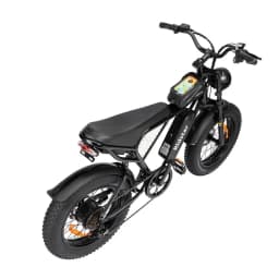 Ridstar Q20 48V 1000W 15Ah Electric Bike Adult Fat Tire E Bike 60KM Electric Bicycle 20 Inch Moped-Styled Ebike 45KM/H Motorbike