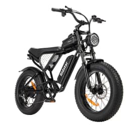 Ridstar Q20 48V 1000W 15Ah Electric Bike Adult Fat Tire E Bike 60KM Electric Bicycle 20 Inch Moped-Styled Ebike 45KM/H Motorbike
