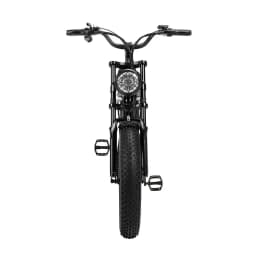 Ridstar Q20 48V 1000W 15Ah Electric Bike Adult Fat Tire E Bike 60KM Electric Bicycle 20 Inch Moped-Styled Ebike 45KM/H Motorbike