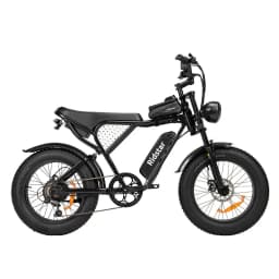 Ridstar Q20 48V 1000W 15Ah Electric Bike Adult Fat Tire E Bike 60KM Electric Bicycle 20 Inch Moped-Styled Ebike 45KM/H Motorbike