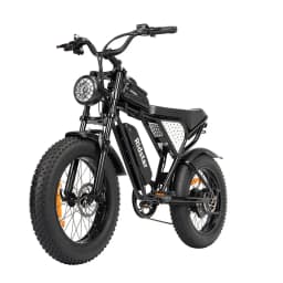 Ridstar Q20 48V 1000W 15Ah Electric Bike Adult Fat Tire E Bike 60KM Electric Bicycle 20 Inch Moped-Styled Ebike 45KM/H Motorbike