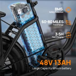 URLIFE E20 Electric Bike 250W Motor 20 Inch City Commuter Adult Electric Bicycle