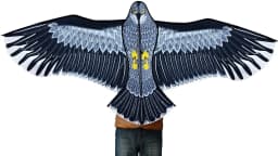 New Outdoor Fun Sports Huge 185cm Eagle Kite With Handle Line Novelty Toy Kites For Adult /Kids Large Good Flying