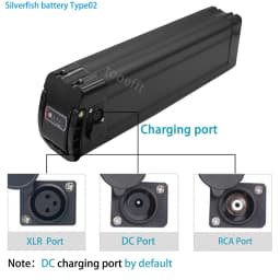 L425mm 48V 15.6Ah 20Ah Silver Fish Lithium Battery pack for JINGHMA R8 BURCHDA R8S pro R8PRO ebike