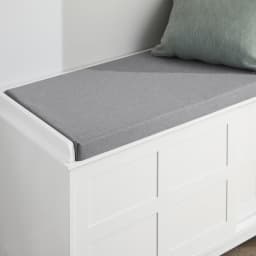 SoBuy FSR86-W storage bench with upholstered cushion, low cabinet, entryway, shoe chest of drawers, with 2 sliding doors