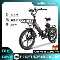 KAISDA K201 Adult Women Electric Bike 250W Motor Electric Bike 36V10.4Ah Battery 20 Inch Rubber Tire Mountain Snow Electric Bike