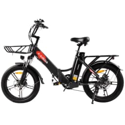 KAISDA K201 Adult Women Electric Bike 250W Motor Electric Bike 36V10.4Ah Battery 20 Inch Rubber Tire Mountain Snow Electric Bike